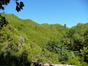 Наталья Бугакова фотография #19 (источник - https://vk.com/id158825)