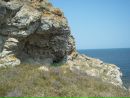 Юлія Житник фотография #39 (источник - https://vk.com/id157956923)