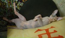 Фотография Добруновой Ирины