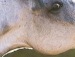  фотография #29