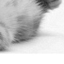 Аня Тацій фотография #21 (источник - https://vk.com/id132719561)