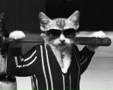 Фотография Соболева Михаила