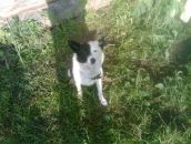 Фотография Игоревича Станислава