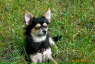 Разбитое Сердце фотография #36 (источник - https://vk.com/id611602)