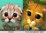 Свєтунька Яковець фотография #39 (источник - https://vk.com/id100793081)