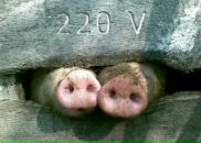 Сергій Олексійчук фотография #8 (источник - https://vk.com/id10271497)