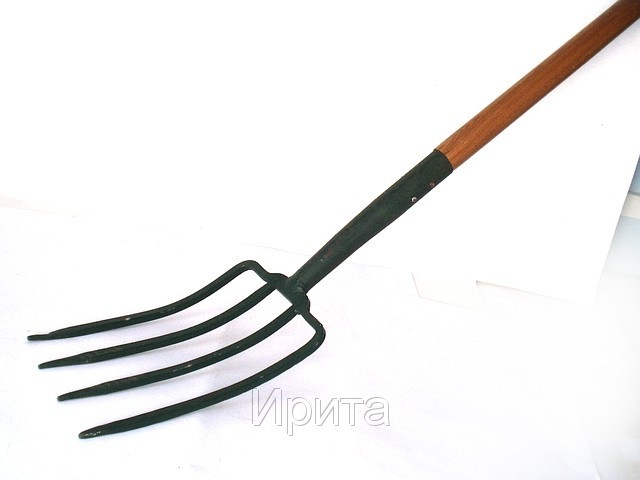 Семен Торгунаков фотография #24