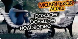 Сірко Сірий фотография #6 (источник - https://vk.com/id98567657)