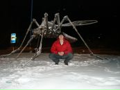 Фотография Пивсаева Алексея
