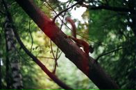 Андрей Носков фотография #34 (источник - https://vk.com/id2598571)