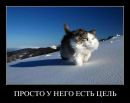 Фотография Некрасова Алексея