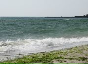 Фотография Чумак Женечки