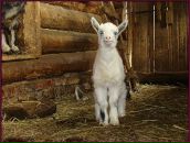 Фотография Нестеровой Марии