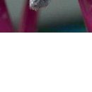 Іра Зайцева фотография #44 (источник - https://vk.com/id152811795)