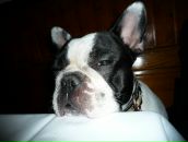 Фотография Бодрова Алексея