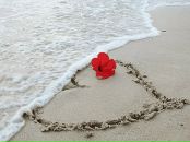 Фотография Верстаковой Елены