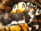 Фотография Шагако Надежды