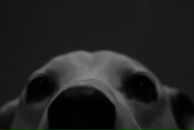 Александр Елисеев фотография #10 (источник - https://vk.com/id2808853)