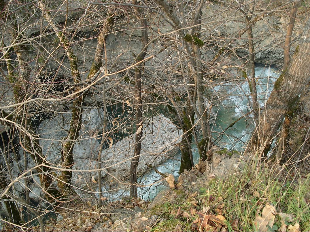 Дмитрий Совкин фотография #31