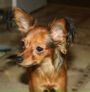 Фотография Алексеевой Юлии