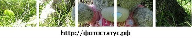 Іра Пікальова фотография #26 (источник - https://vk.com/id100515424)