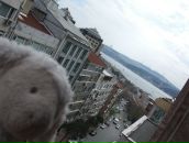 Фотография Чашкиной Дарьи