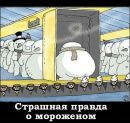 Фотография Дубичевой Кристины