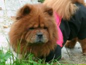 Фотография Леонтьева Андрея