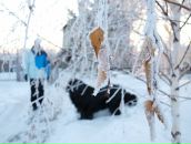 Фотография Степанова Андрея