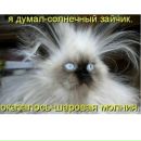 Виталік Шорбан фотография #49 (источник - https://vk.com/id137609690)