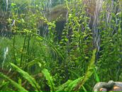 Андрій Ордаш фотография #11 (источник - https://vk.com/id28930375)