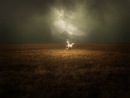 Фотография Гребнева Дениса