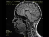 Фотография Вдовиченко Юлии