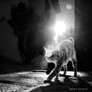 Фотография Агалаковой Надежды