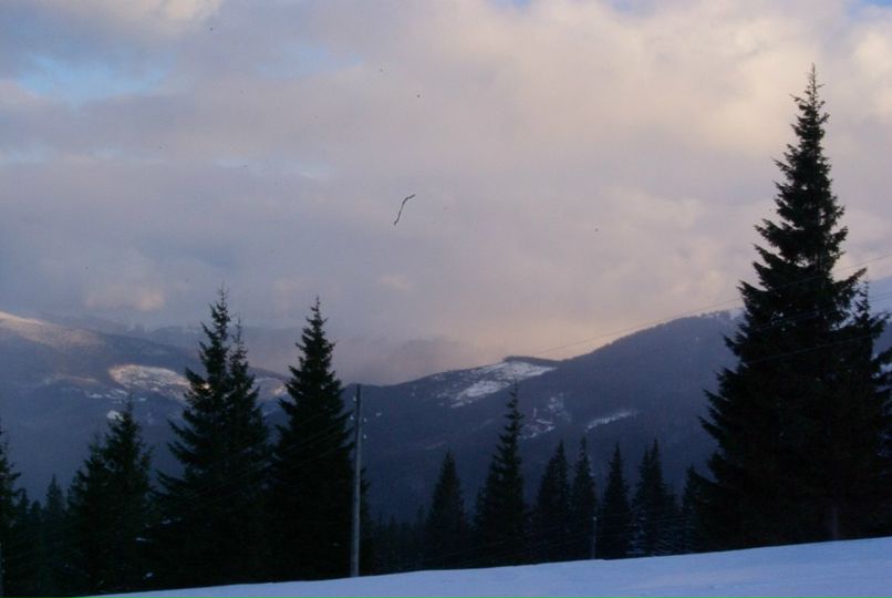 Darry Di фотография #27