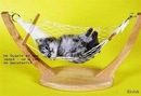 Олеся Іванова фотография #10 (источник - https://vk.com/id144909124)