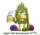 Фотография Шестопаловой Елены