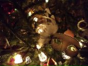 Фотография Мясниковой Татьяны