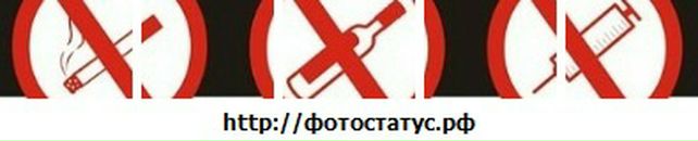 Сергій Макогін фотография #44 (источник - https://vk.com/id65412702)