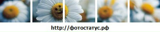 Іванна Майданська фотография #44 (источник - https://vk.com/id85635594)