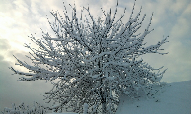 Яков Поляков фотография #30