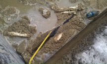 Роман Винтер фотография #39 (источник - https://vk.com/id55490)