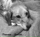 Фотография Ефимовой Анастасии