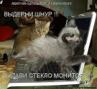 Фотография Федоровой Вероники