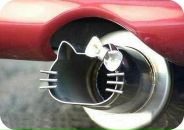 Фотография Оо Лёхи