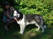 Фотография Артёмовой Лизы