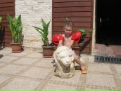 Альбина Низамиева (Сунгатуллина) фотография #24 (источник - https://vk.com/id23884244)