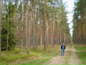 Андрій Винницький фотография #25 (источник - https://vk.com/id26843184)