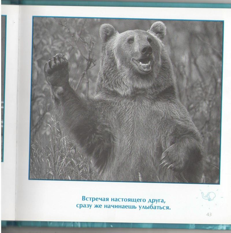 Роман Сербененко фотография #18