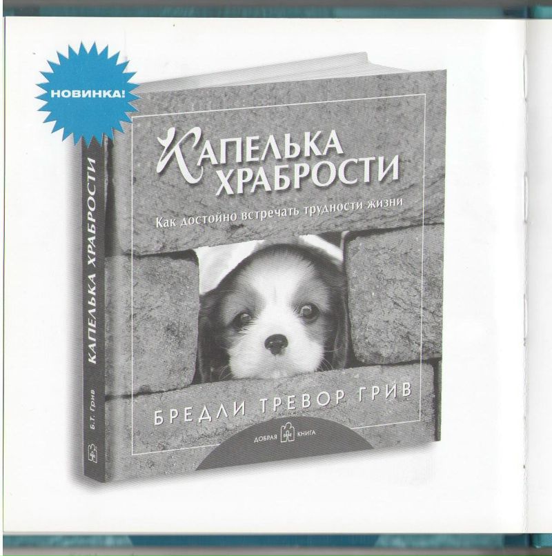 Роман Сербененко фотография #10